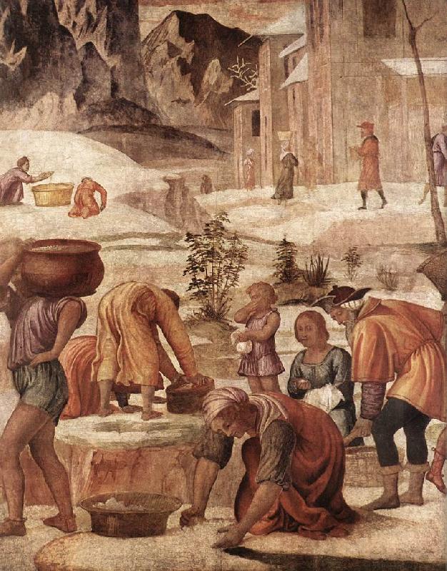 LUINI, Bernardino The Gathering of the Manna s China oil painting art